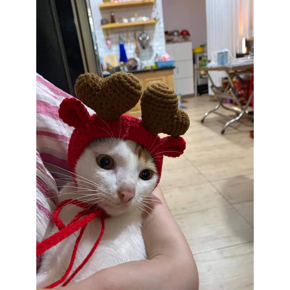 Nón len cho thú cưng NÓN TUẦN LỘC handmade cho PET chó, mèo,. thỏ, chuột ú.....