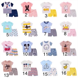 Bộ cotton túi zip mẫu mới 2019