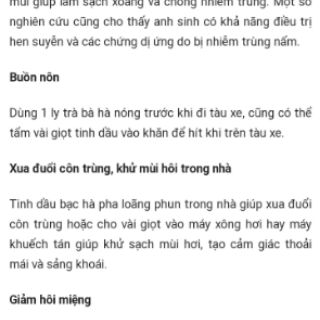 Cây bạc hà( 3 cây)