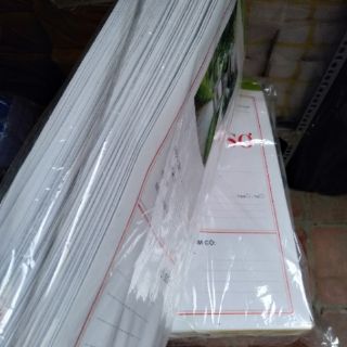 Hồ sơ xin việc có ruột (50 bộ)