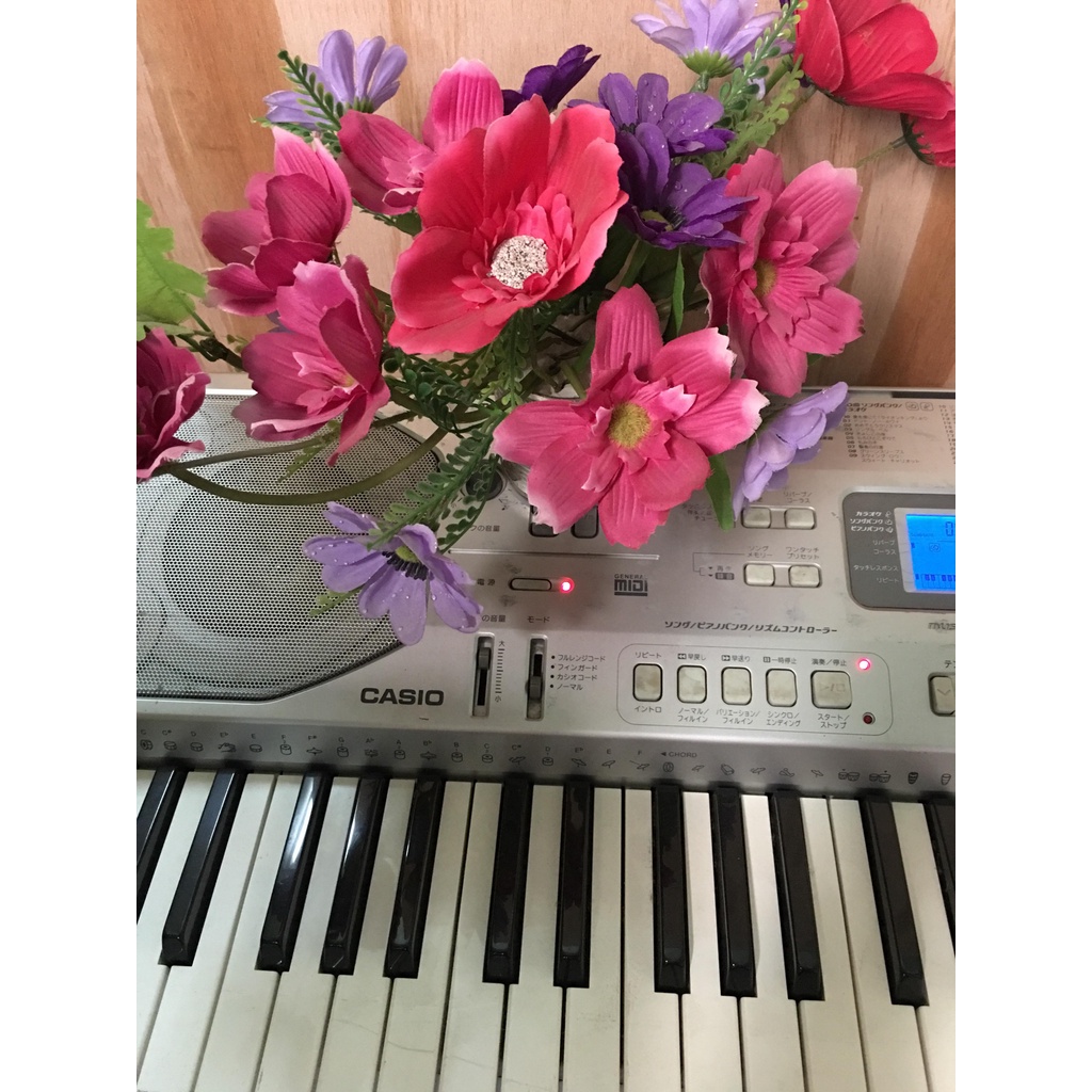 Đàn Organ Casio CTK 800