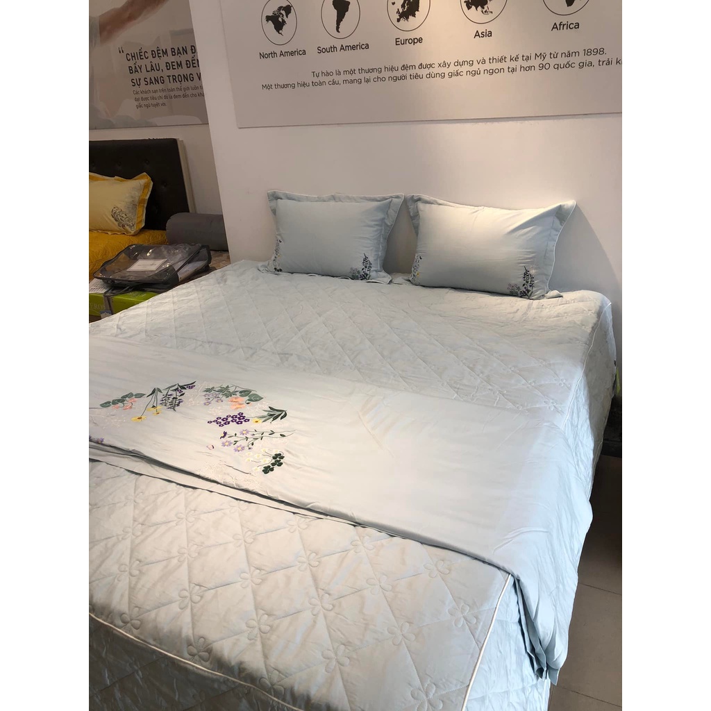 Bộ Everon ESB 22051