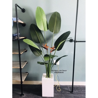 cây chuối giả 1,6m
