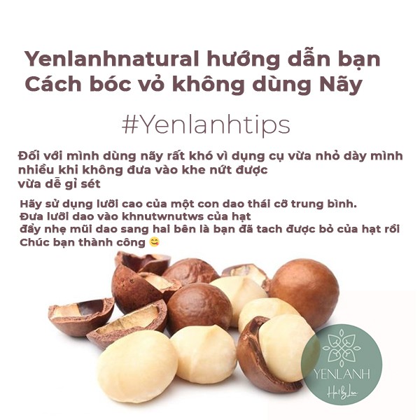 Quả macca nứt vỏ tự nhiên dễ bóc 500gr Yenlanhnatural