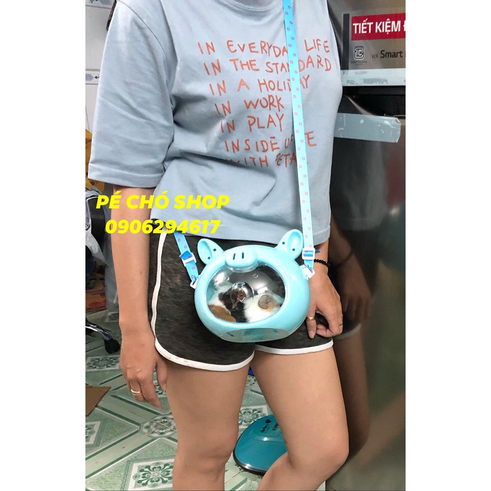 Lồng Mặt Heo du lịch cho thú cưng nhỏ chất liệu mika .