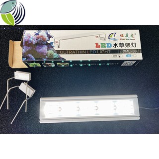 Đèn led thủy sinh trắng XML 30 - 40 - 50 - 60 cm