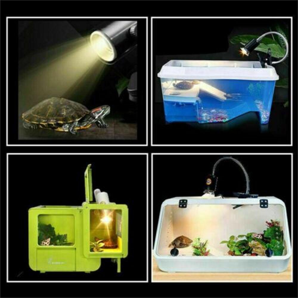 Giá Đỡ Bóng Đèn Sưởi Ấm Tia UV Cho Bò Sát