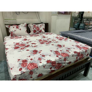 Bộ ga chun chần Everon SR16