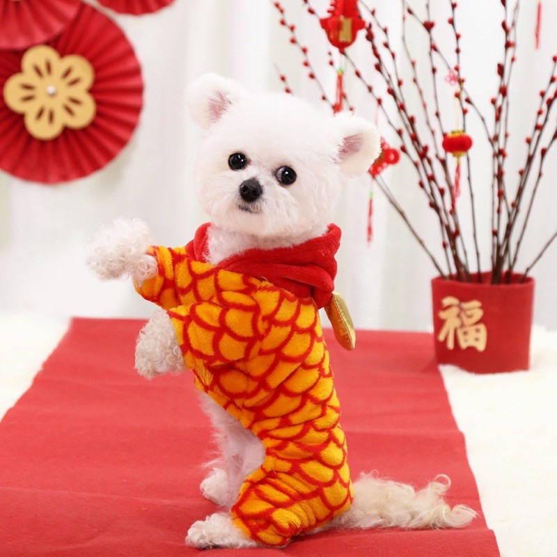Áo tết rồng kute cho thú cưng