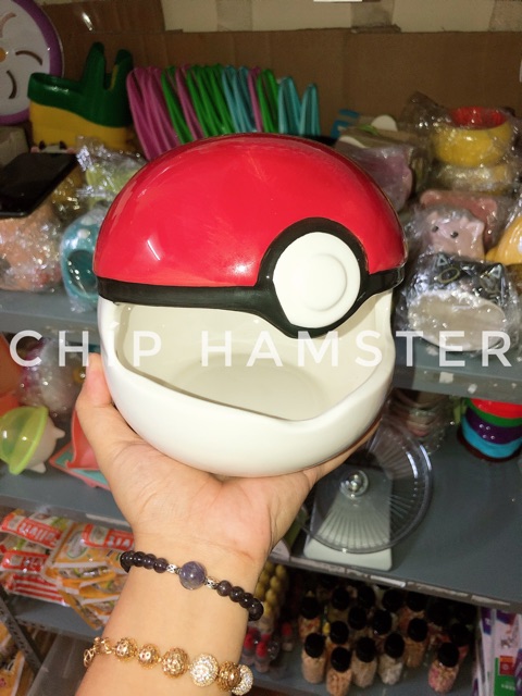 Nhà sứ Pokemon