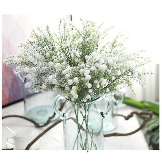 Hoa Giả - HOA PHỦ TUYẾT Loại 1 Giống Thật