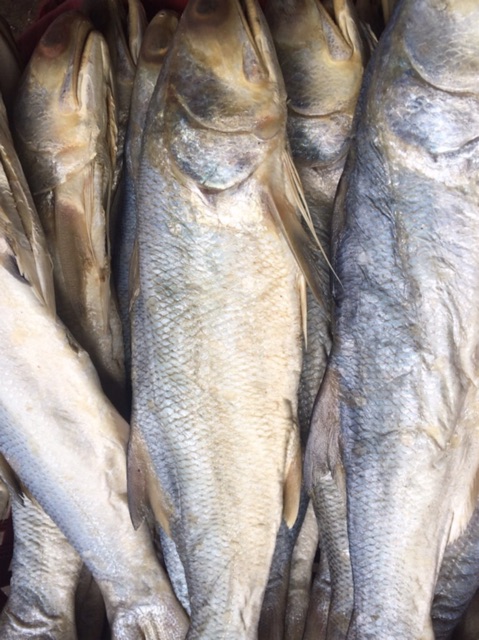 KHÔ CÁ CHÉT ĐẶC SẢN CÀ MAU 1KG