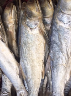 Khô cá chét đặc sản Cà Mau 1000gr