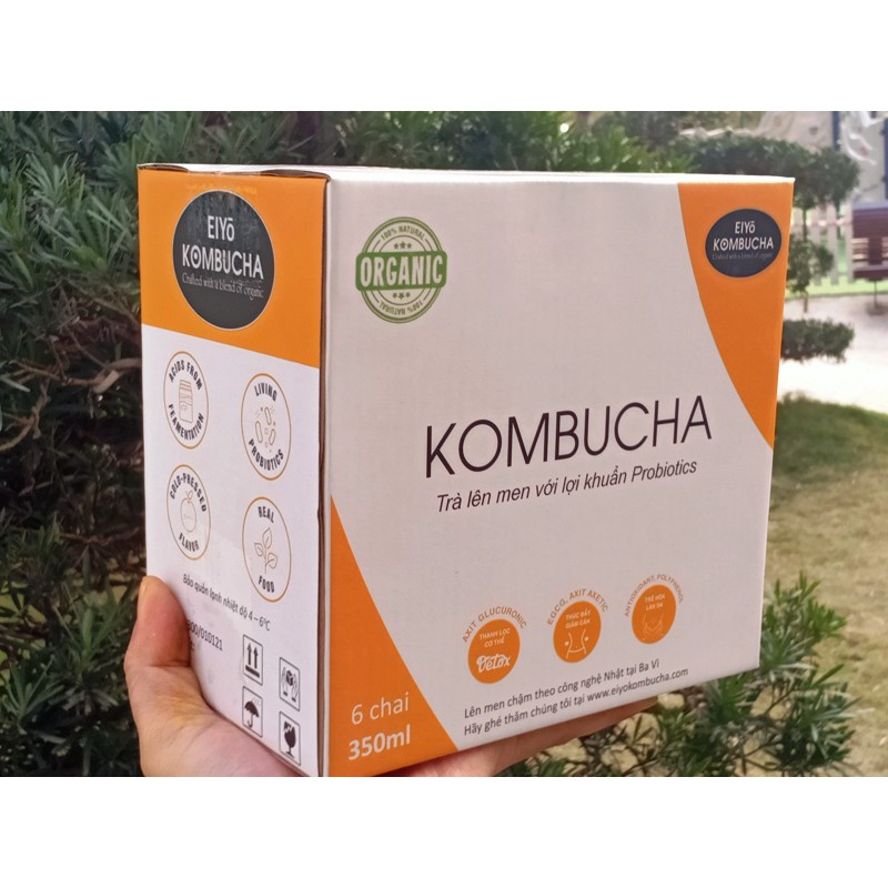 TRÀ KOMBUCHA - THANH LỌC &amp; THẢI ĐỘC VỊ GỪNG + NGHỆ THÙNG 6 CHAI.