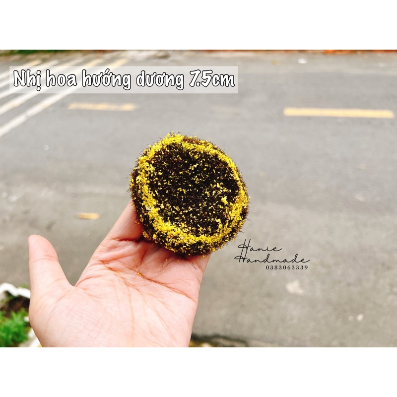 Nhị hướng dương 7cm - 100gr