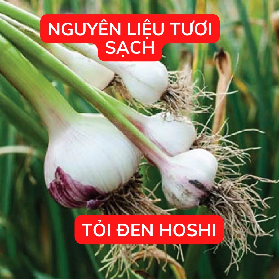 - 1KG - Tỏi Đen Cô Đơn Hoshi - Lên Men 90 Ngày