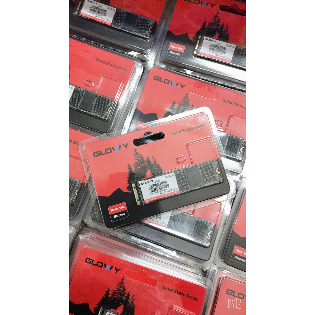 Ổ cứng SSD M2 Gloway 256GB (Sata3.0) – CHÍNH HÃNG – Bảo hành 3 năm !!! | BigBuy360 - bigbuy360.vn