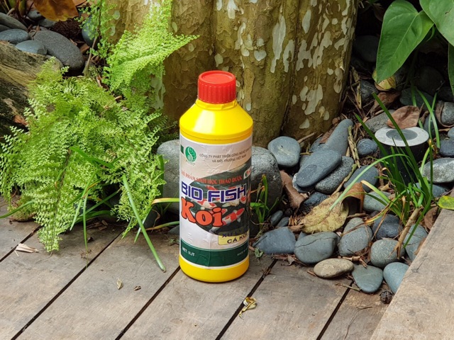 Vi Sinh Thảo Dược Hồ Cá Koi Bio Fish Koi 1000ml. Vi Sinh Phân Hủy Chất Thải, Khử Mùi Tanh, Làm Trong Nước