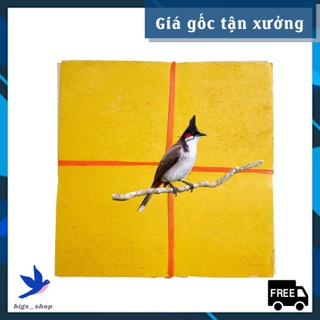 Giấy lót lồng chim big_shop giấy vuông giá rẻ đủ kích thước