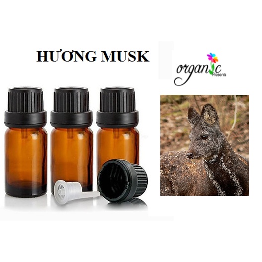 MUSK (HƯƠNG XẠ HƯƠNG)