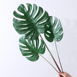 Cành lá trầu bà - Cây trầu ba giả - hoa vải cao cấp - trầu bà nam mỹ - xin