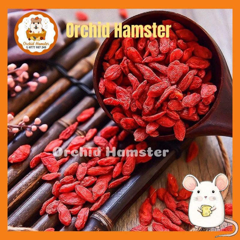 Kỳ Tử MÓN YÊU THÍCH HAMSTER