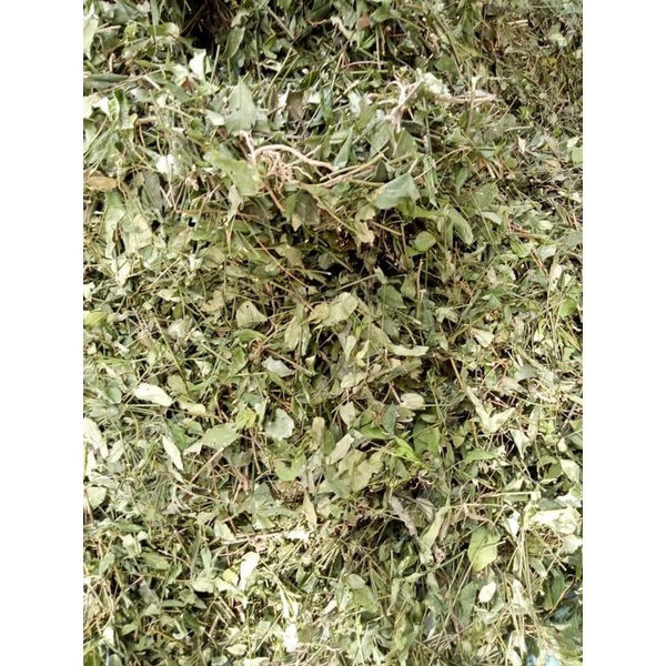 1KG Chè Vằng sẻ  khô sạch