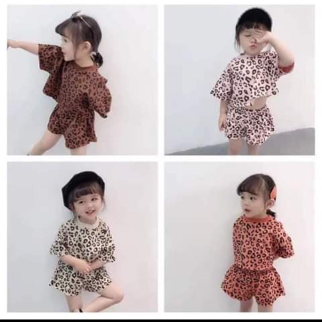 Combo 40b bèo xinh lung linh