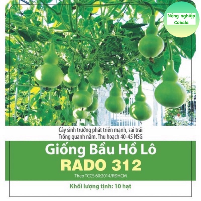 Hạt Giống Bầu Hồ Lô MINI Năng Suất Cao (10 Hạt)