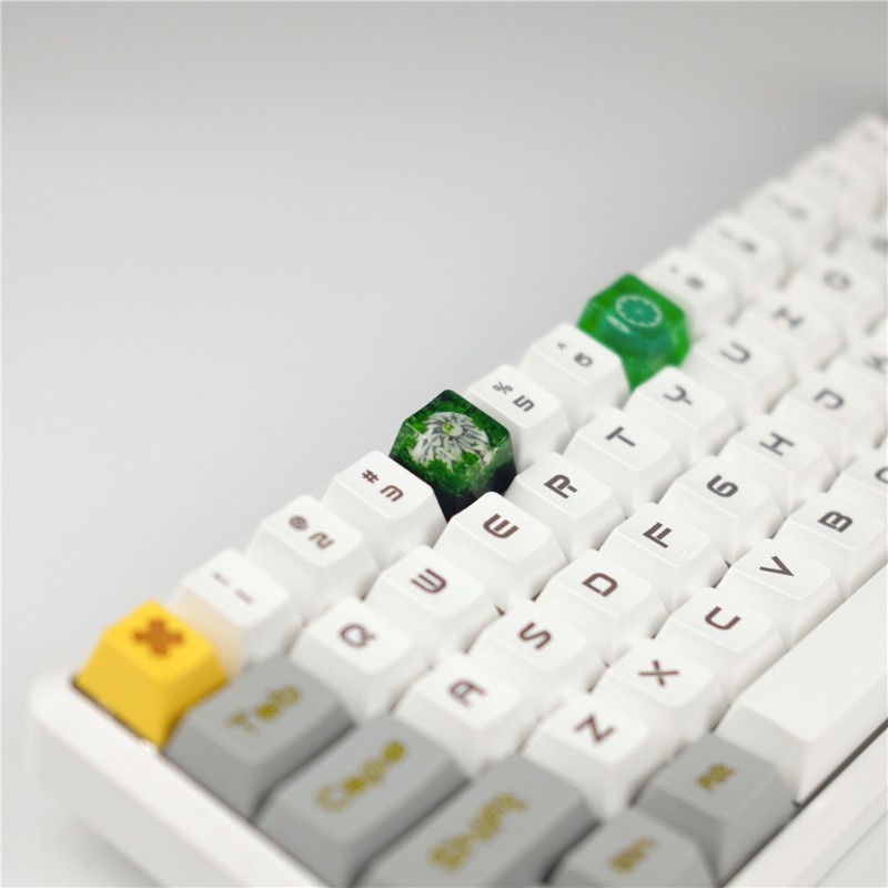 Nút Bấm Bàn Phím Cơ Oem R4 Có Đèn Nền Trong Suốt Bằng Nhựa | BigBuy360 - bigbuy360.vn