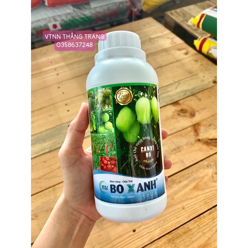 BO XANH khoẻ bông-chắc trái