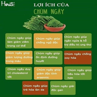 Bột Chùm Ngây Sấy Lạnh Nguyên Chất Moris, Bổ Sung Dinh Dưỡng, Vitamin, Tăng Cường Sức Khỏe, Làm Đẹp Da