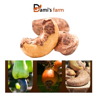 Hạt điều rang muối nguyên hạt còn vỏ lụa 500gr