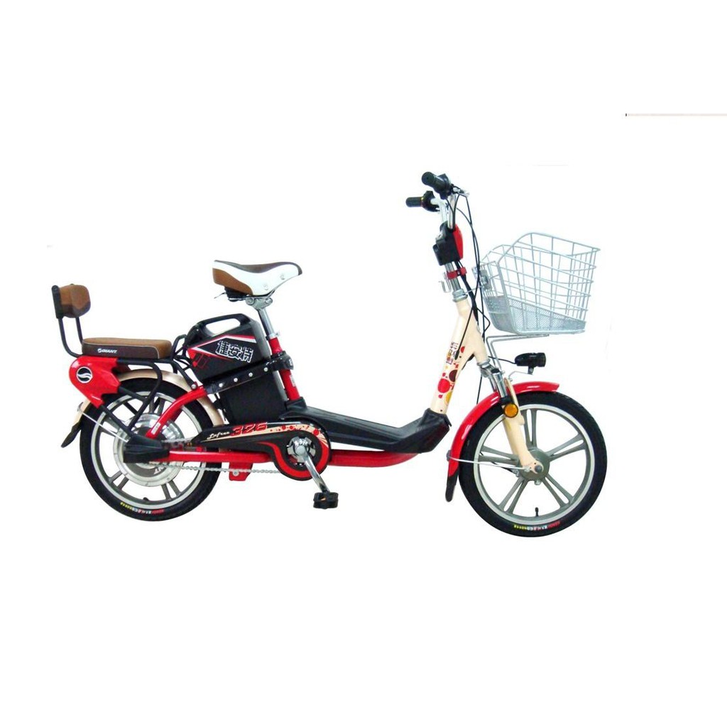 Pin Xe Điện 48v 10ah/15ah/20ah cho xe đạp nhật, hk, gaint, Bridgestone