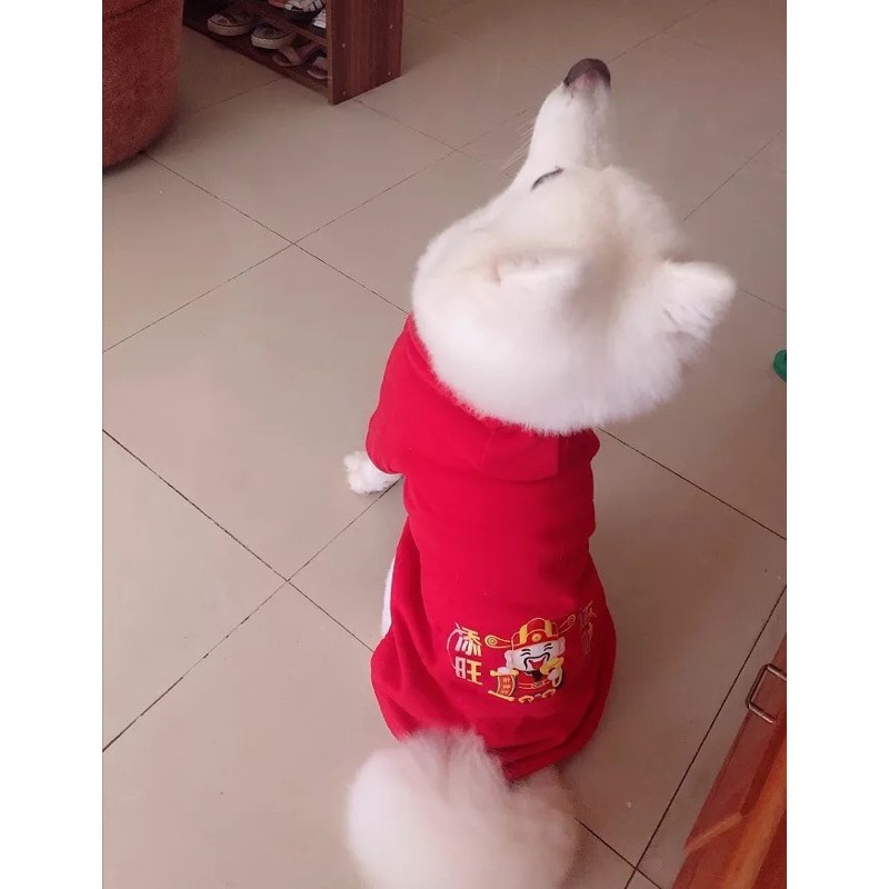 Áo nỉ có mũ in hình thần tài mặc Tết cho chó size lớn