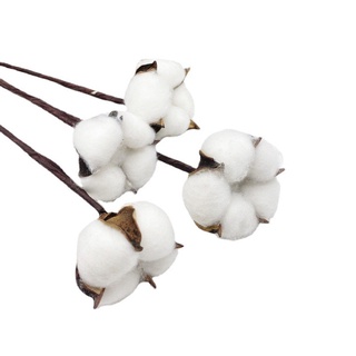 Hoa bông gòn trang trí – cành hoa bông gòn trang trí handmade