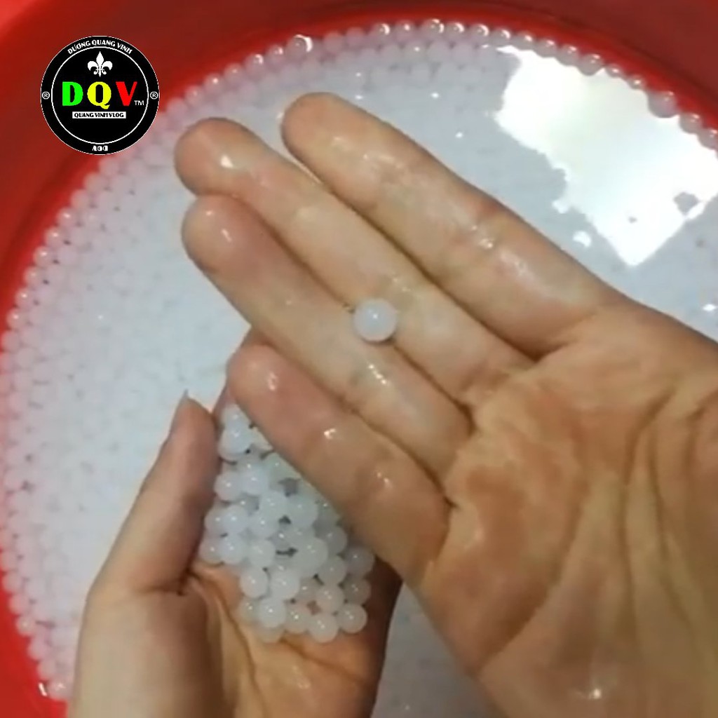 Hạt Nở Nhật Bản 7mm Làm Slime Hoặc Trồng Cây - Nguyên liệu làm slime