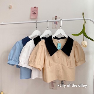 Sơ mi thô cổ màu (ib chọn màu)