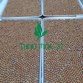 Kẹo mầm lúa mạch gold của thảo mộc 37