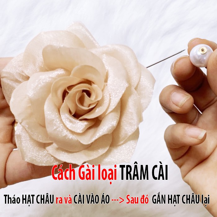 Tag Hoa Trà Lớn Cài Áo, Kiểu Cài Áo Hoa Có Ghim, Có Trâm Cài Áo Váy , Trâm Hoa Cài Áo Dài CH001 CH002