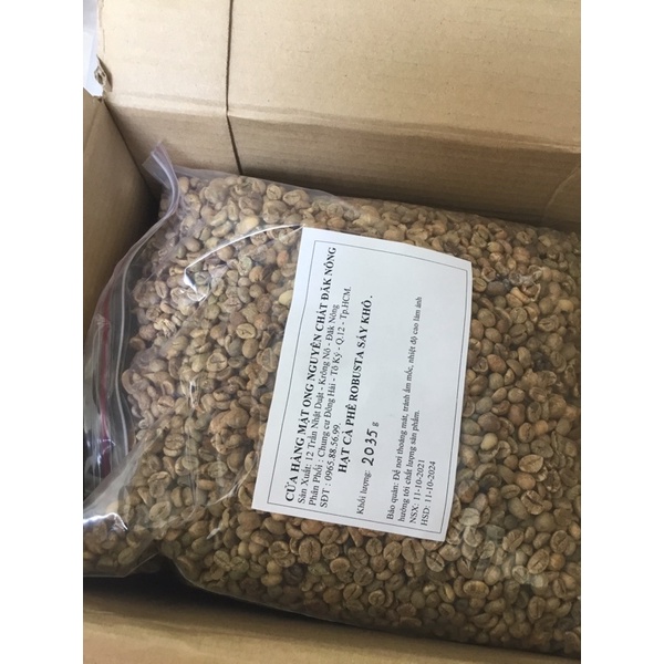 Túi 5 kg cà phê nhân sống chưa rang Robusta- cà phê vối Tây Nguyên-Hạt làm sạch, phơi sấy khô.