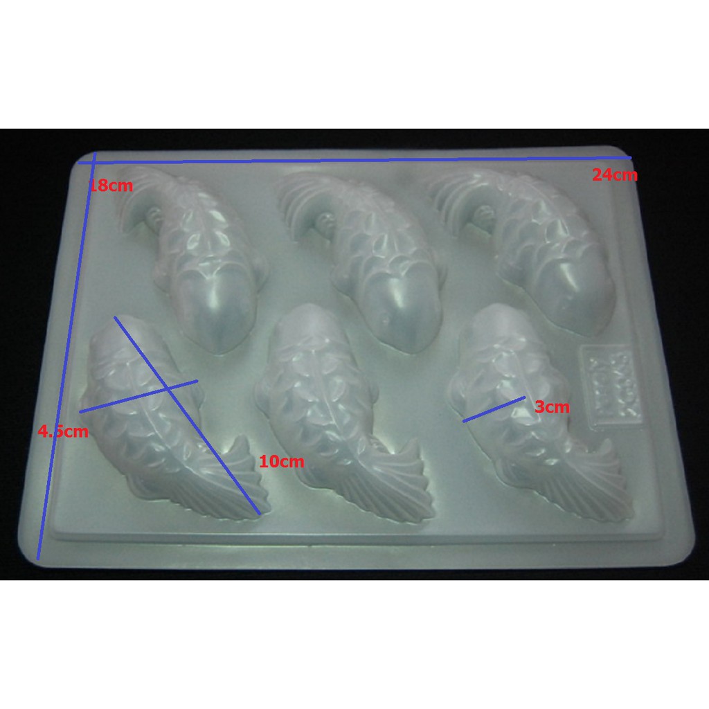 Khuôn hình 6 con cá