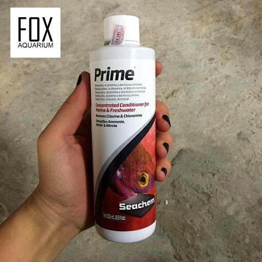 Seachem Prime-Dung Dịch Khử Độc Nước Bể Cá