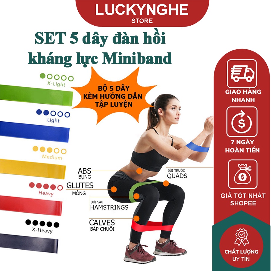 SET 5 dây đàn hồi kháng lực Miniband Dây đàn hồi tập mông đùi đa năng