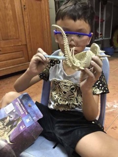 XƯƠNG KHỦNG LONG HOÁ THẠCH - DIG A DINOSAUR SKELETON