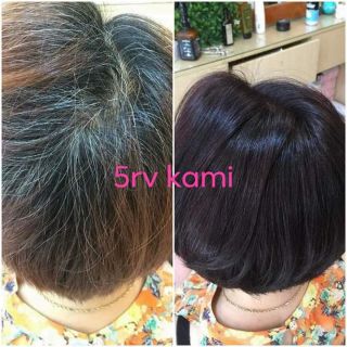 Thuốc nhuộm màu tím trầm - phủ bạc 100%