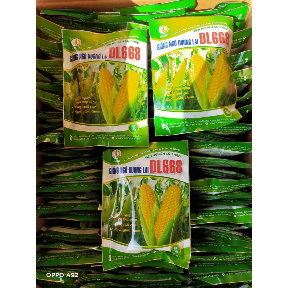 (100G), Giống Ngô ngọt, Giống Ngô Ngọt ĐL 668, Giống bắp mỹ