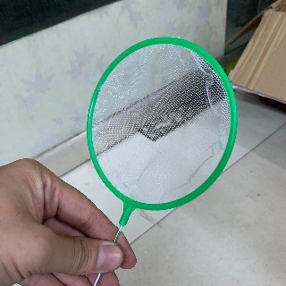 Vợt cá tép