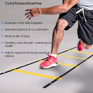 Thang Dây Hỗ Trợ Luyện Tập Thể Thao