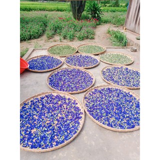 (GIÁ SỈ 1KG) TRÀ HOA ĐẬU BIẾC NHÀ TRỒNG HỮU CƠ